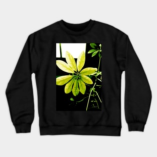 By The Window Crewneck Sweatshirt